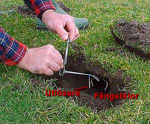 F�lla f�r bek�mpning av mullvad och sork